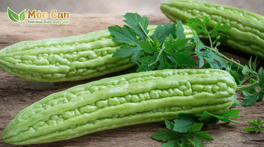KHỔ QUA THƯỜNG VÀ KHỔ QUA RỪNG LOẠI NÀO TỐT HƠN? 2 KHỔ QUA THƯỜNG VÀ KHỔ QUA RỪNG LOẠI NÀO TỐT HƠN? 2
