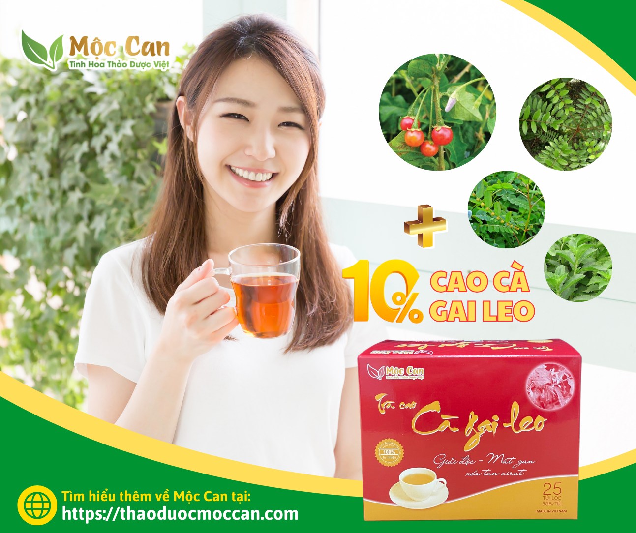 CÀ GAI LEO THẢI ĐỘC GAN NHƯ THẾ NÀO? 3 CÀ GAI LEO THẢI ĐỘC GAN NHƯ THẾ NÀO? 3