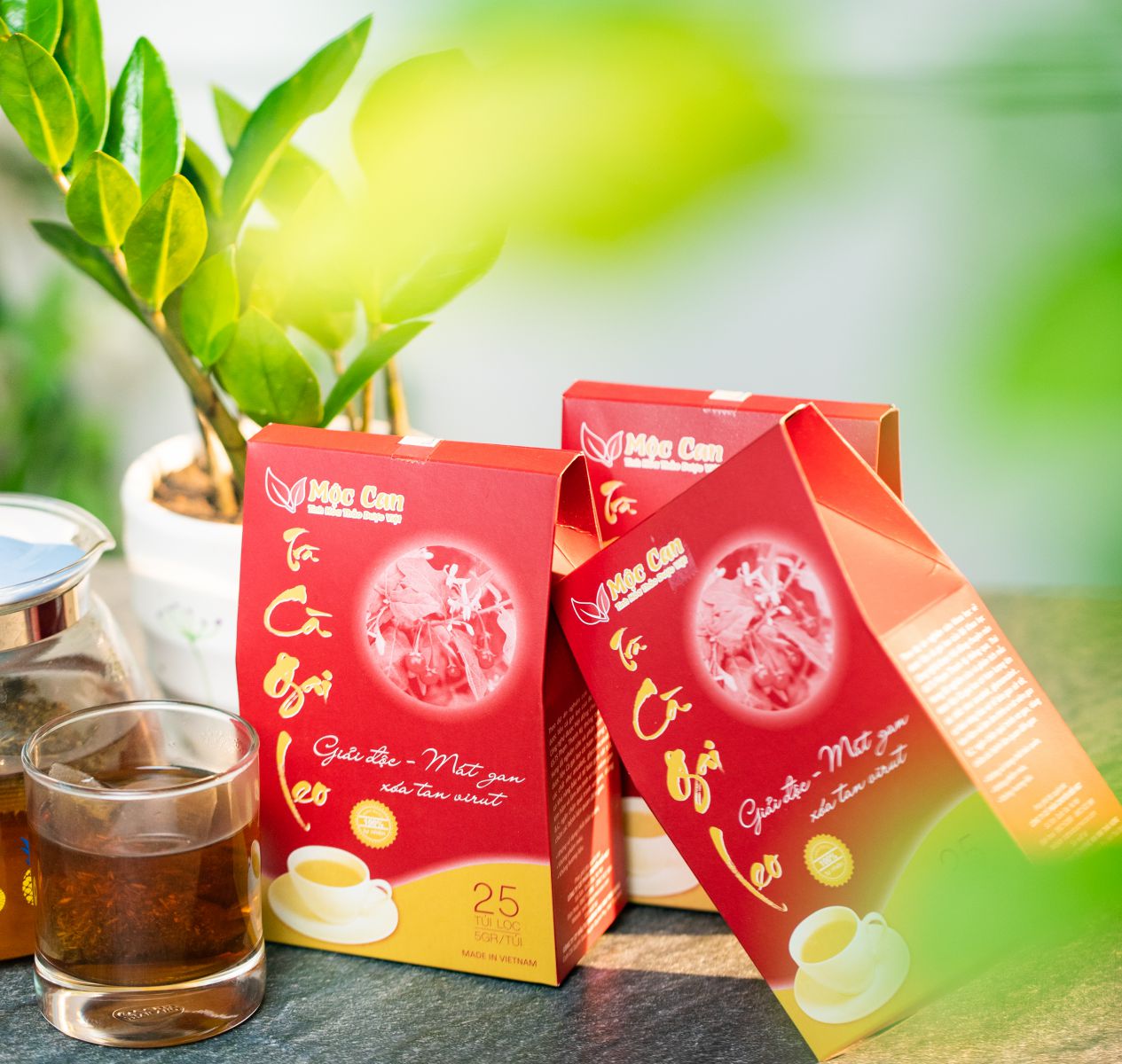 Bất ngờ công dụng tuyệt vời của cà gai leo 3 Bất ngờ công dụng tuyệt vời của cà gai leo 3