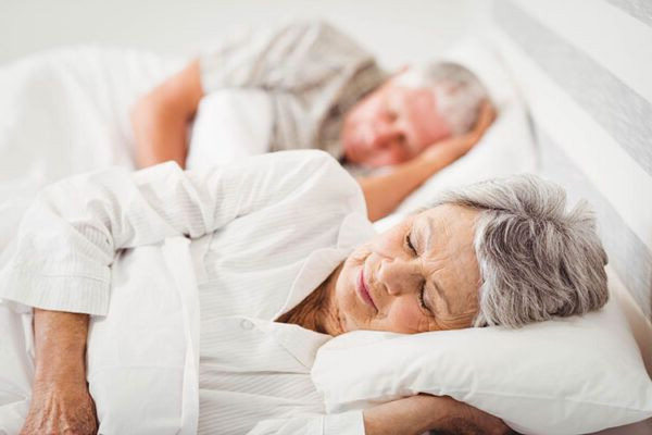 CÂY ĐINH LĂNG - GIÚP AN THẦN NGỦ NGON HIỆU QUẢ 2 CÂY ĐINH LĂNG - GIÚP AN THẦN NGỦ NGON HIỆU QUẢ 2
