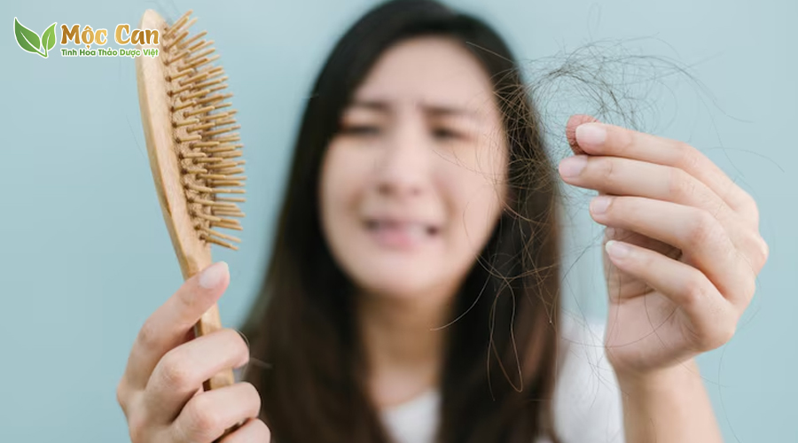 BÍ QUYẾT THOÁT KHỎI RỤNG TÓC, HÓI ĐẦU VỚI BỘ 3 DƯỢC LIỆU QUÝ 1