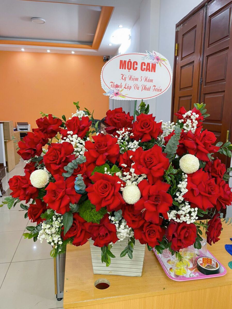 CHÚC MỪNG SINH NHẬT MỘC CAN TRÒN 5 TUỔI (04/04/2019 - 04/04/2024) 4